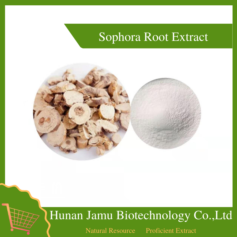 Sophora Root Extract 