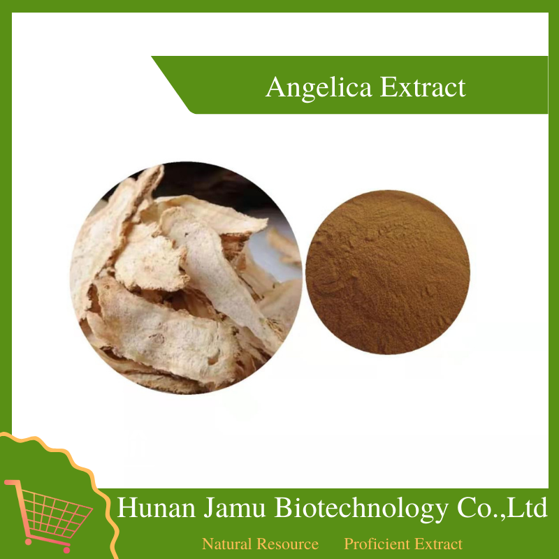 Angelica Extract