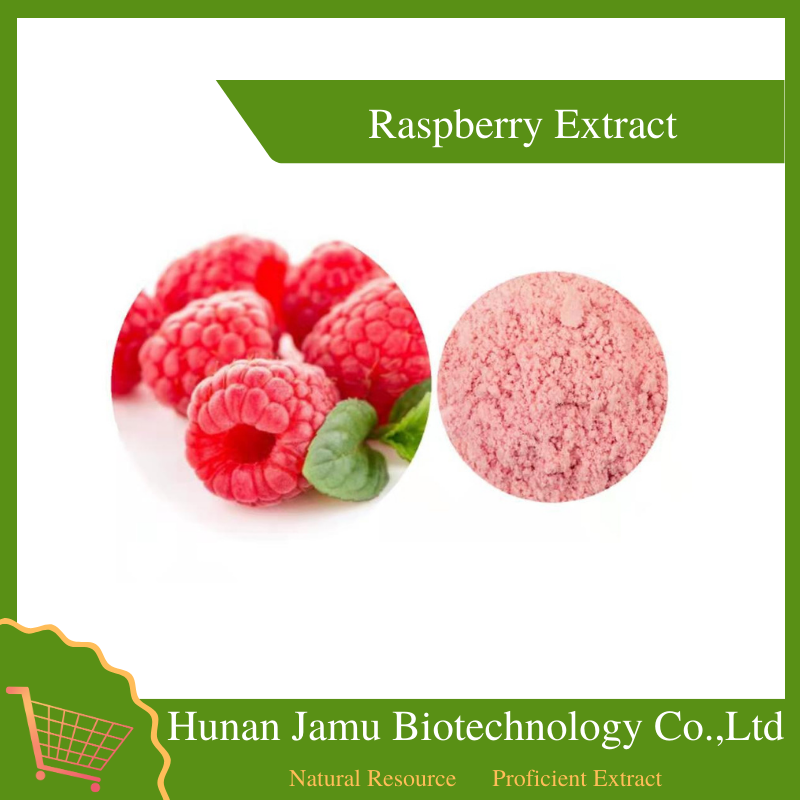 Raspberry Extract 
