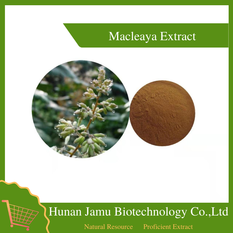 Macleaya Extract 