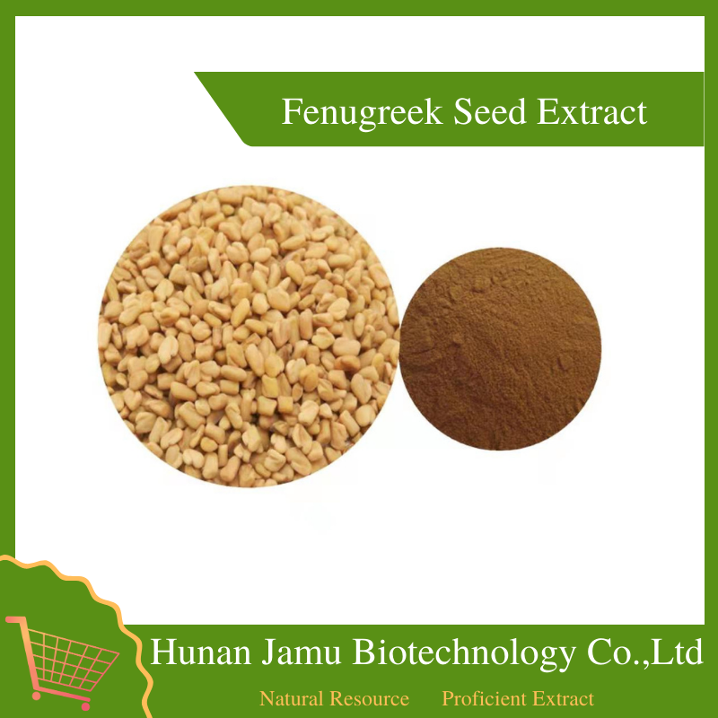 Fenugreek Seed Extract   