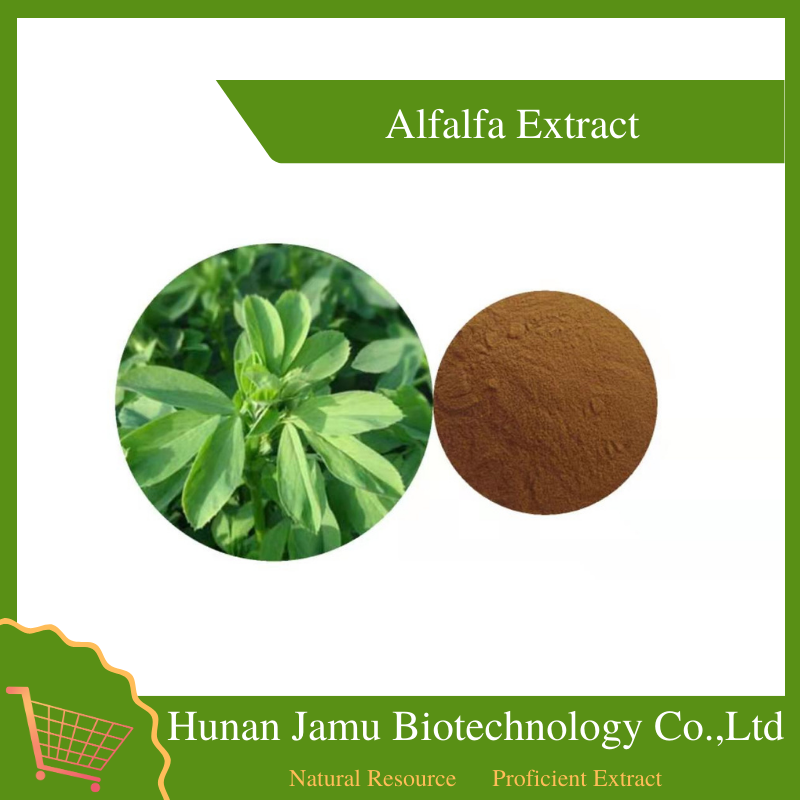  Alfalfa Extract   