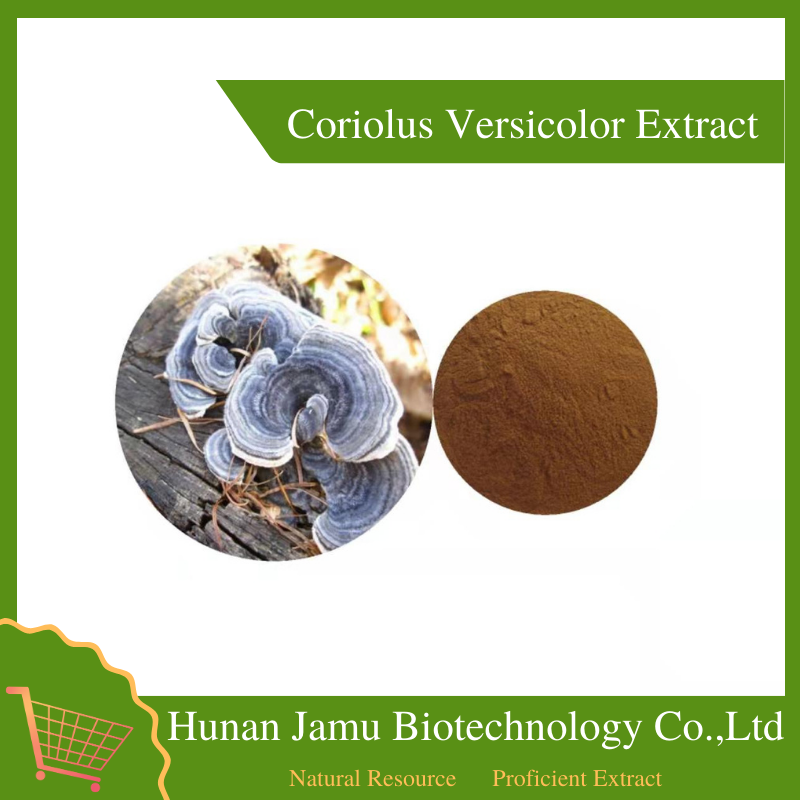 Coriolus Versicolor Extract     