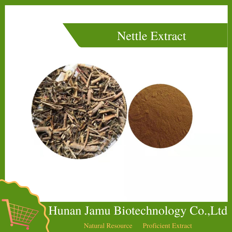 Nettle Extract  