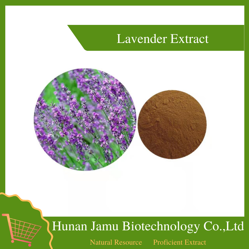 Lavender Extract   