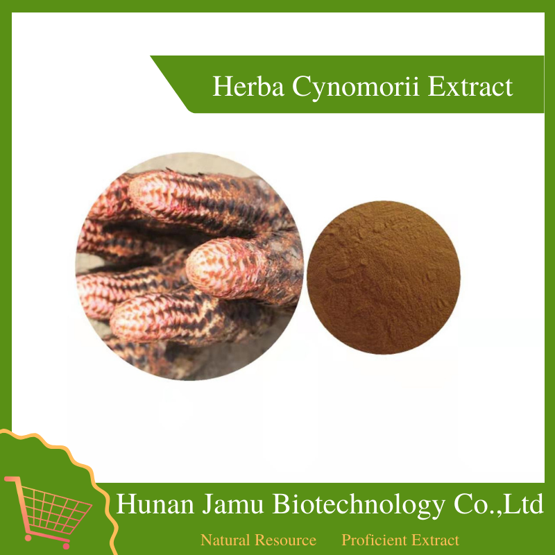 Herba Cynomorii Extract   