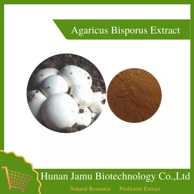 Agaricus Bisporus Extract 