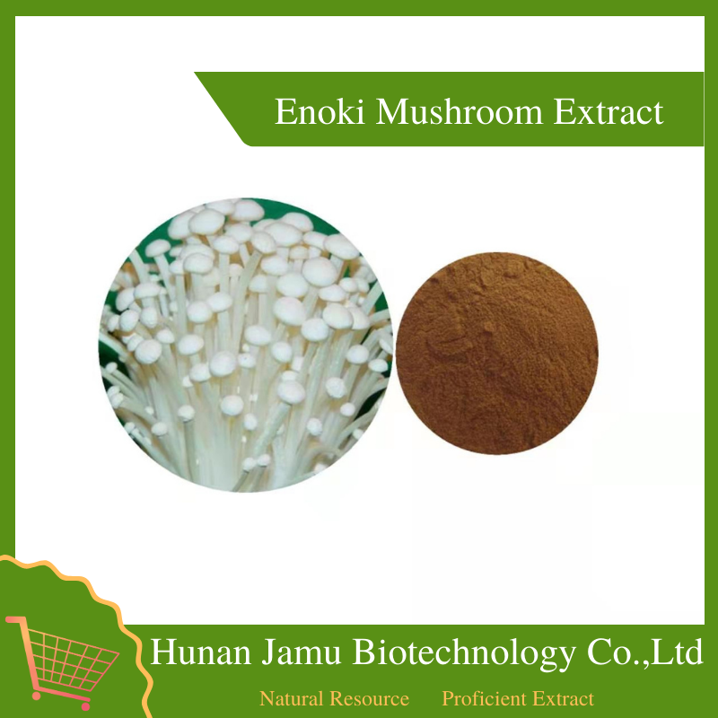 Enoki Mushroom Extract